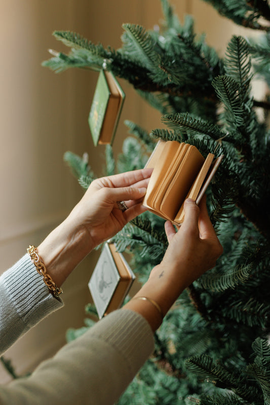 Book Ornaments (Set of 3)