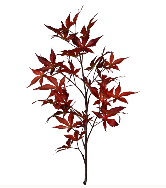 Autumn Branch